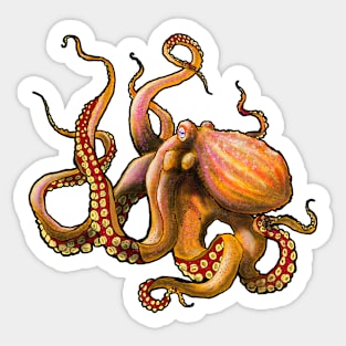 Octopus Orange Sticker